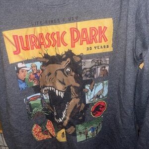 Jurassic Park Graphic hoodie